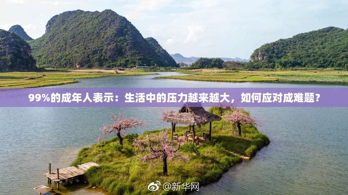 99%的成年人表示：生活中的压力越来越大，如何应对成难题？