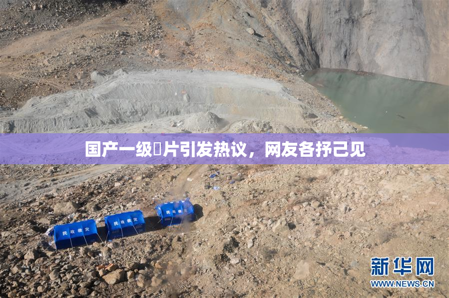 国产一级婬片引发热议，网友各抒己见