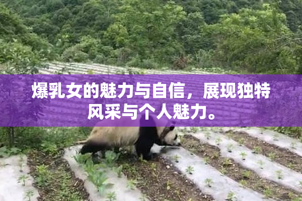 爆乳女的魅力与自信，展现独特风采与个人魅力。