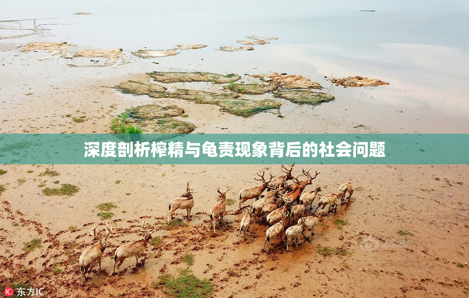 深度剖析榨精与龟责现象背后的社会问题