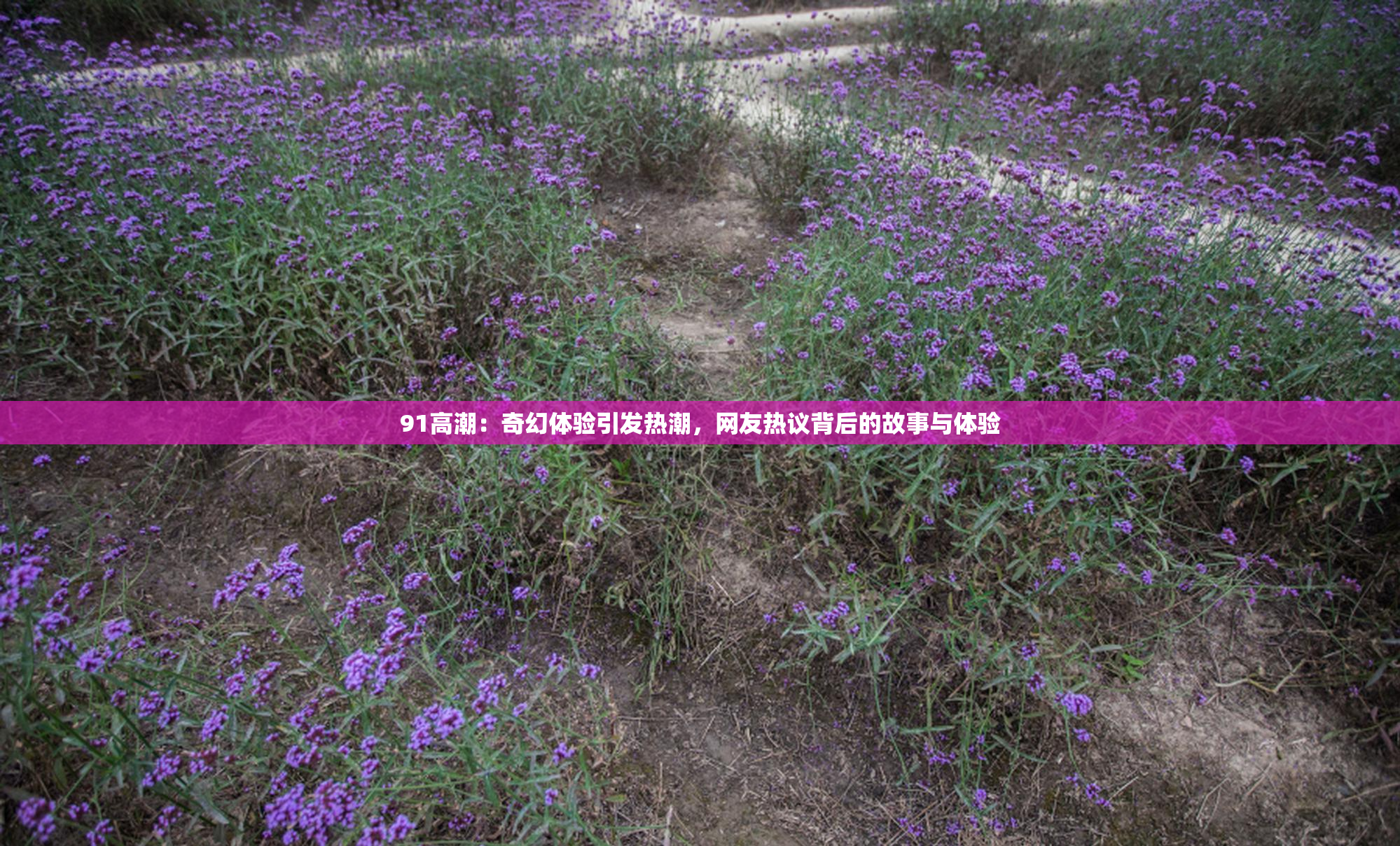 91高潮：奇幻体验引发热潮，网友热议背后的故事与体验