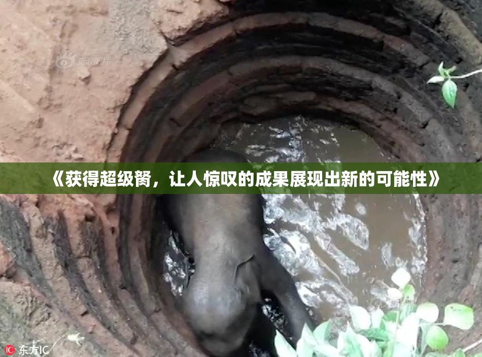 《获得超级胬，让人惊叹的成果展现出新的可能性》