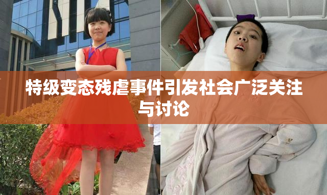 特级变态残虐事件引发社会广泛关注与讨论