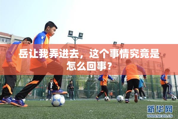 岳让我弄进去，这个事情究竟是怎么回事？