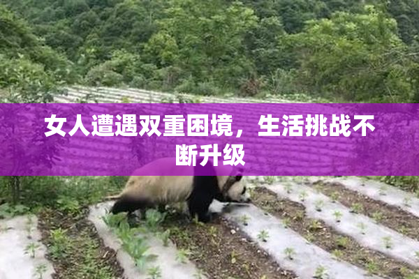 女人遭遇双重困境，生活挑战不断升级