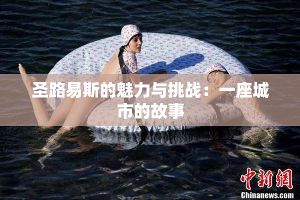 圣路易斯的魅力与挑战：一座城市的故事
