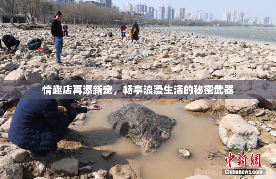 情趣店再添新宠，畅享浪漫生活的秘密武器