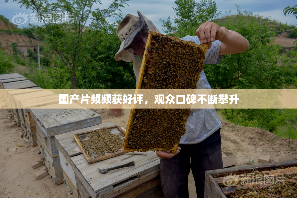 国产片频频获好评，观众口碑不断攀升