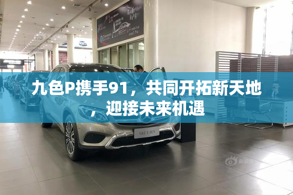 九色P携手91，共同开拓新天地，迎接未来机遇