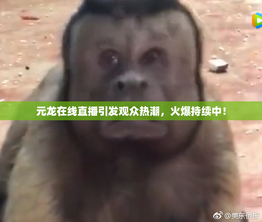 元龙在线直播引发观众热潮，火爆持续中！