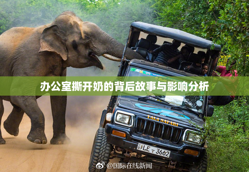 办公室撕开奶的背后故事与影响分析