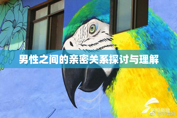 男性之间的亲密关系探讨与理解