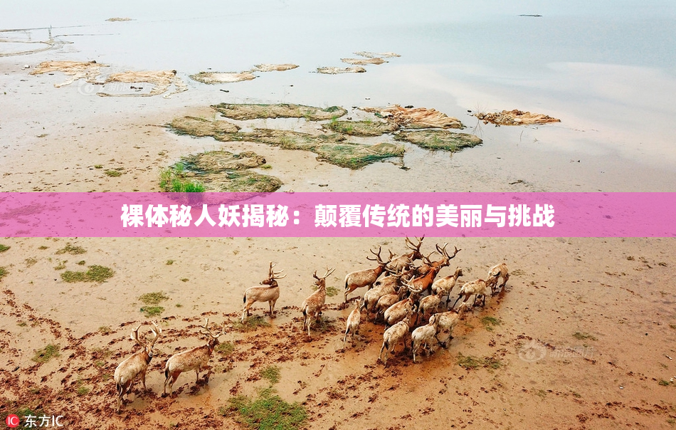 裸体秘人妖揭秘：颠覆传统的美丽与挑战