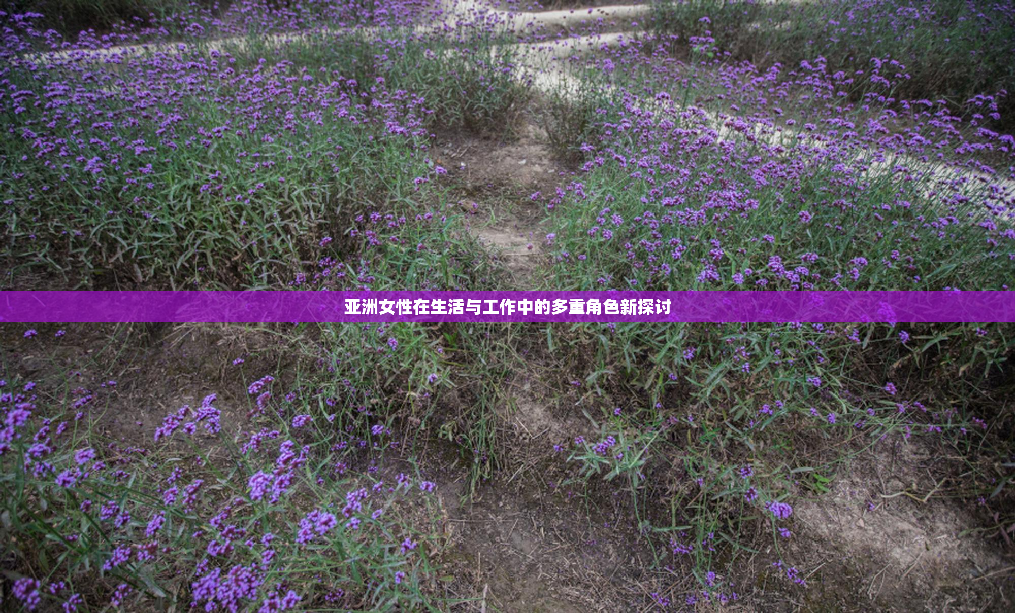 亚洲女性在生活与工作中的多重角色新探讨
