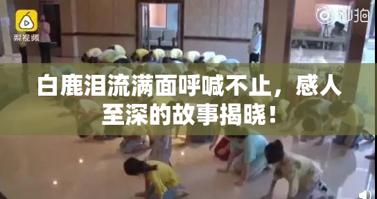 白鹿泪流满面呼喊不止，感人至深的故事揭晓！