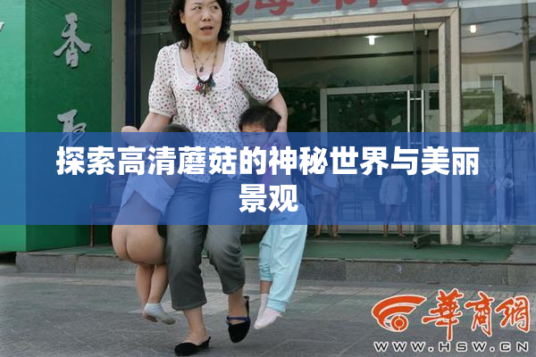 探索高清蘑菇的神秘世界与美丽景观