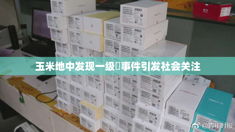 玉米地中发现一级婬事件引发社会关注