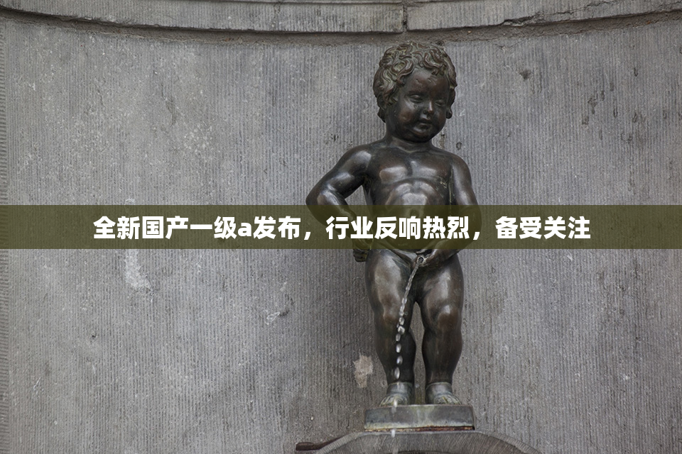 全新国产一级a发布，行业反响热烈，备受关注