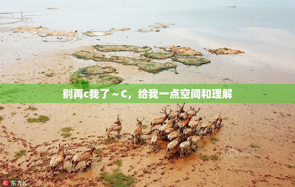 别再c我了～C，给我一点空间和理解
