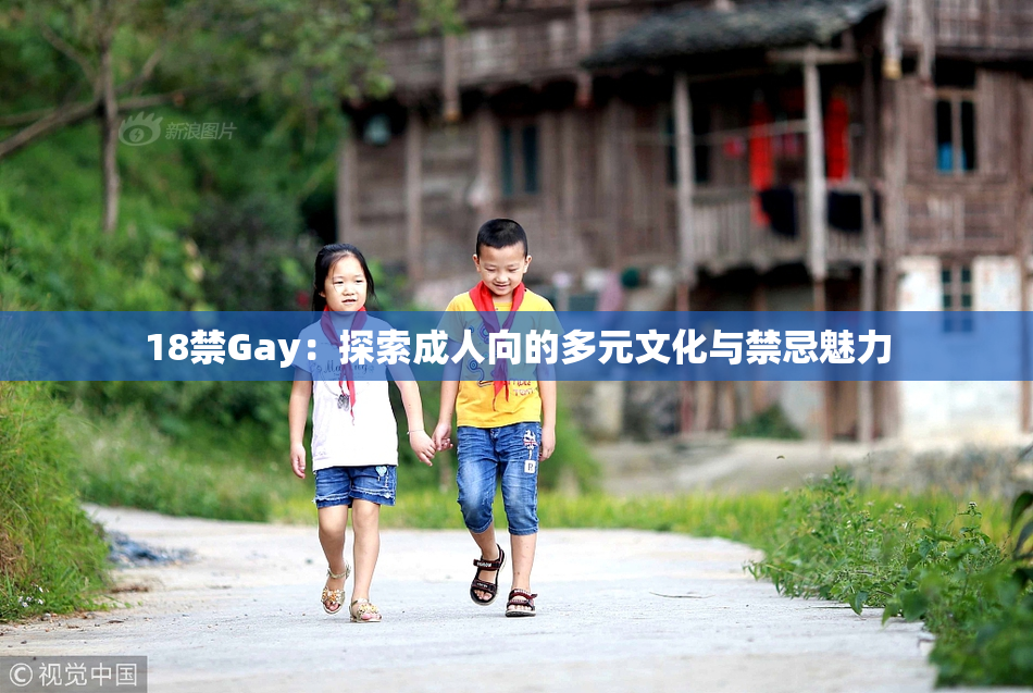 18禁Gay：探索成人向的多元文化与禁忌魅力