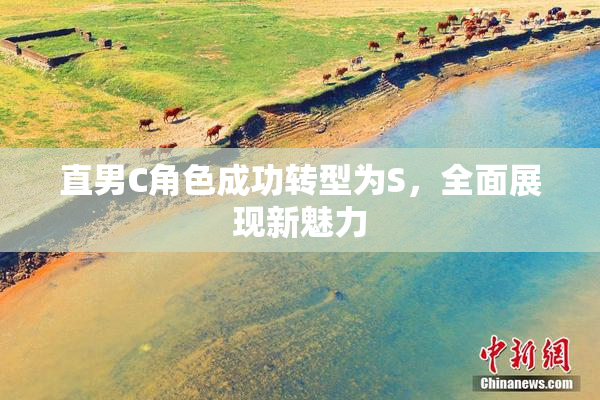 直男C角色成功转型为S，全面展现新魅力