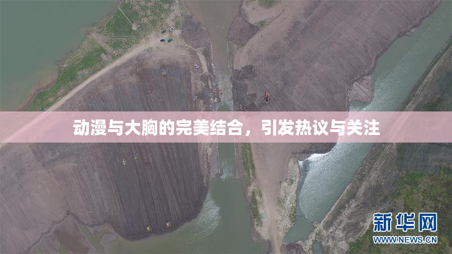 动漫与大胸的完美结合，引发热议与关注