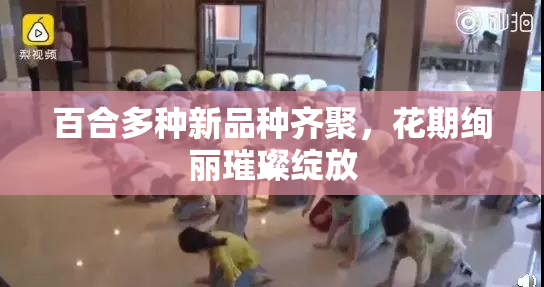 百合多种新品种齐聚，花期绚丽璀璨绽放