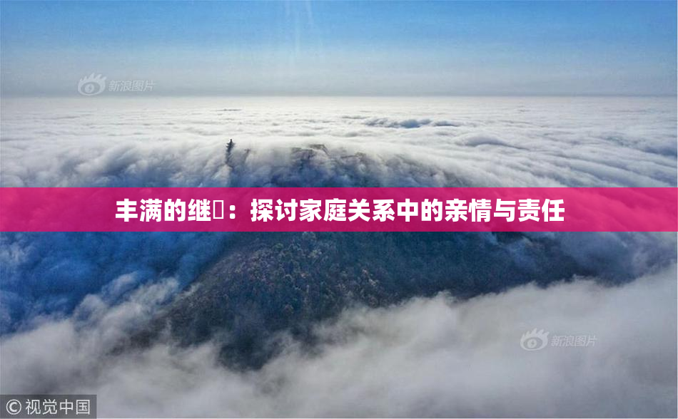 丰满的继牳：探讨家庭关系中的亲情与责任