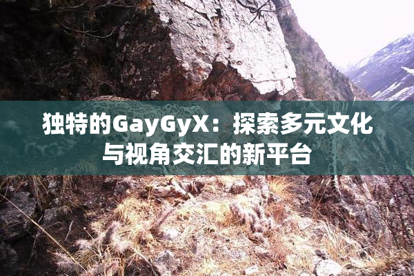 独特的GayGyX：探索多元文化与视角交汇的新平台