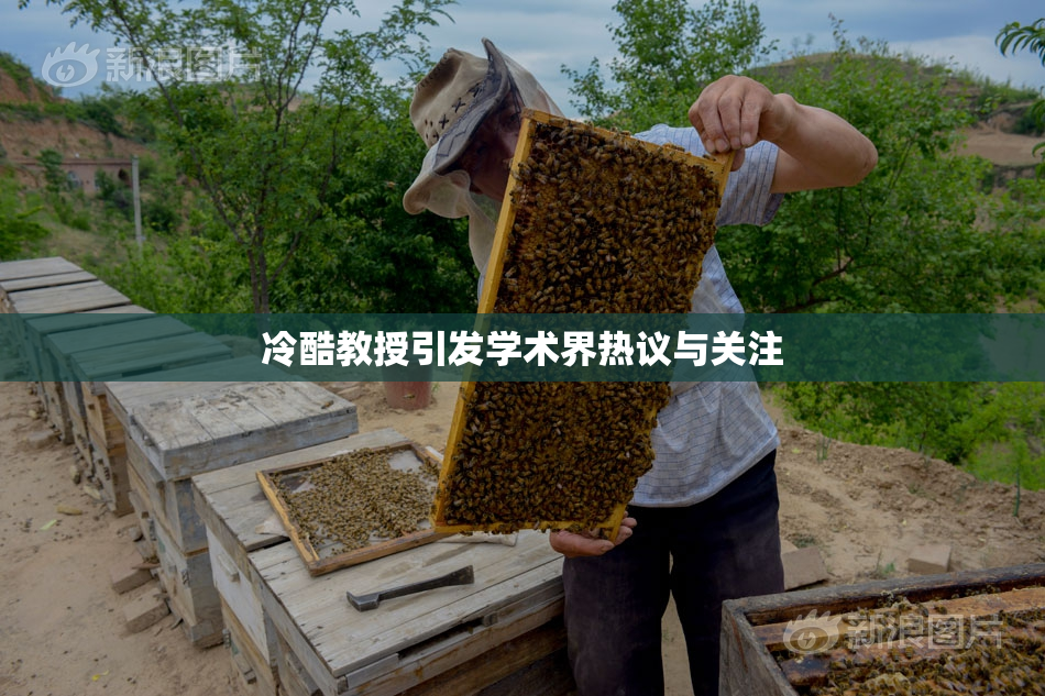 冷酷教授引发学术界热议与关注