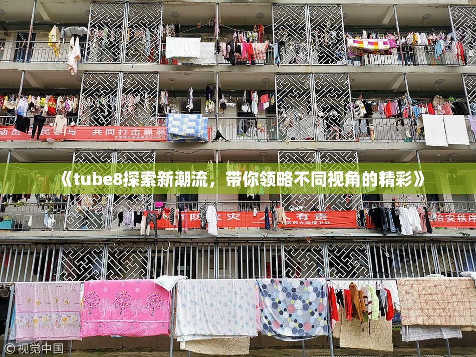 《tube8探索新潮流，带你领略不同视角的精彩》