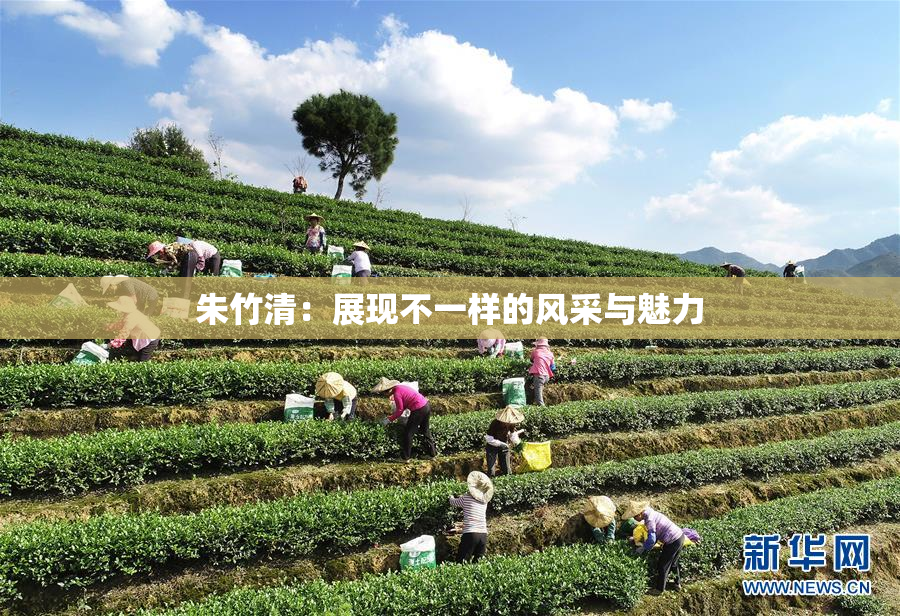 朱竹清：展现不一样的风采与魅力