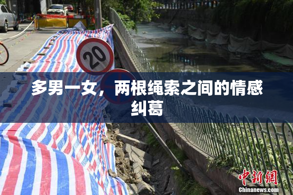 多男一女，两根绳索之间的情感纠葛