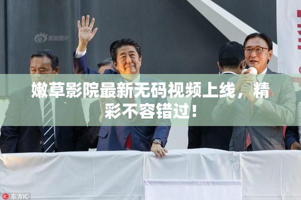 嫩草影院最新无码视频上线，精彩不容错过！