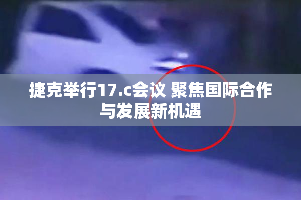 捷克举行17.c会议 聚焦国际合作与发展新机遇
