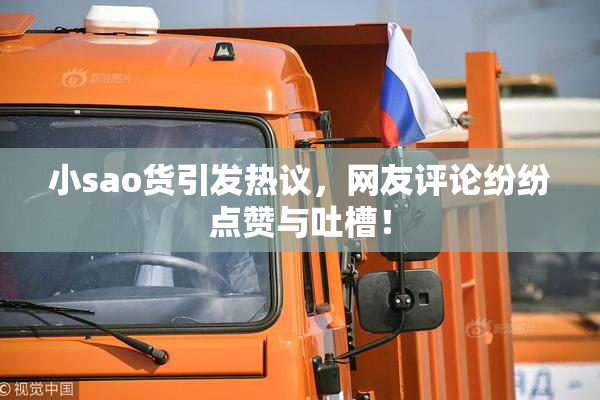 小sao货引发热议，网友评论纷纷点赞与吐槽！
