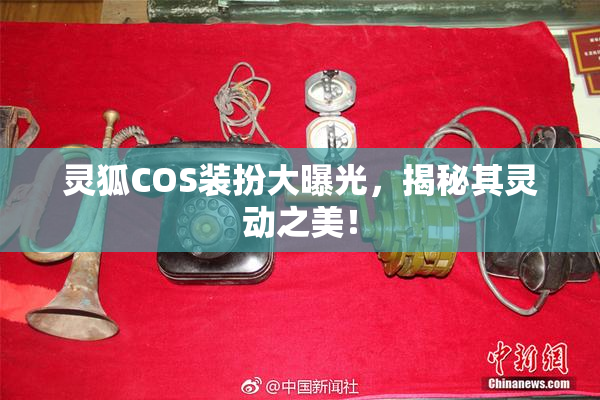 灵狐COS装扮大曝光，揭秘其灵动之美！
