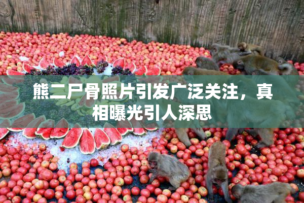 熊二尸骨照片引发广泛关注，真相曝光引人深思