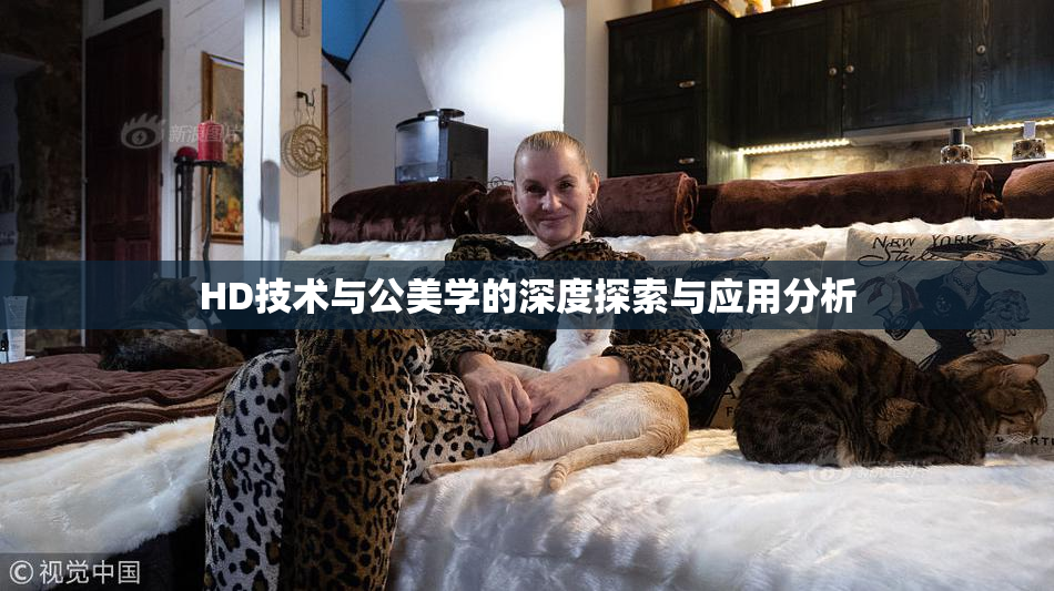 HD技术与公美学的深度探索与应用分析