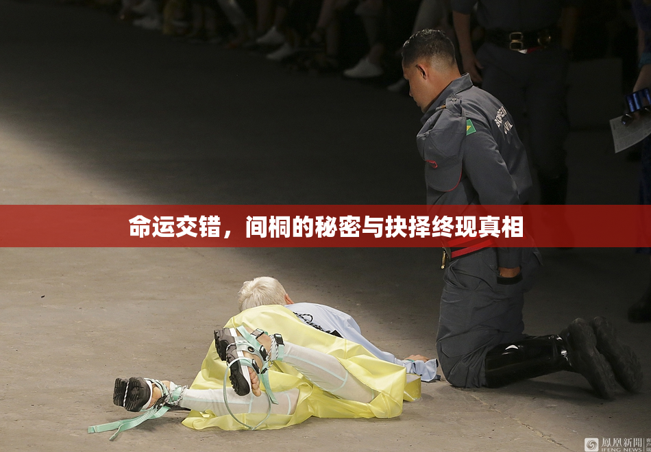 命运交错，间桐的秘密与抉择终现真相