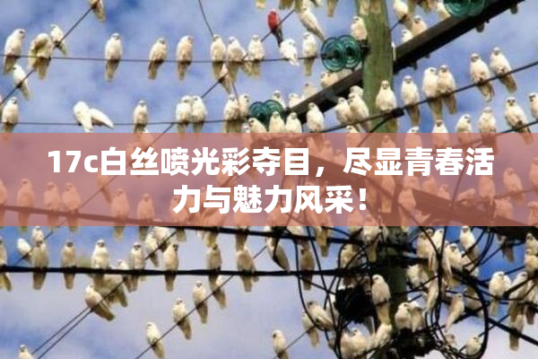 17c白丝喷光彩夺目，尽显青春活力与魅力风采！
