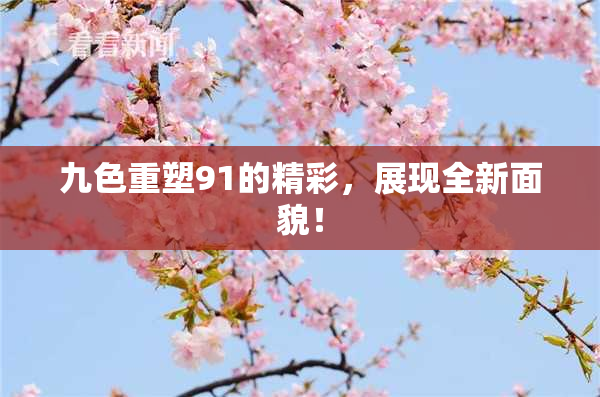 九色重塑91的精彩，展现全新面貌！