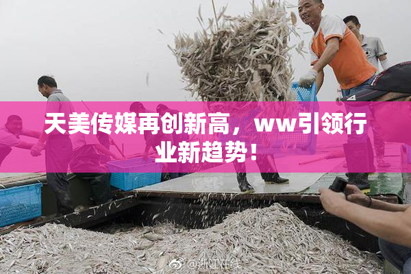 天美传媒再创新高，ww引领行业新趋势！