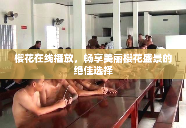 樱花在线播放，畅享美丽樱花盛景的绝佳选择