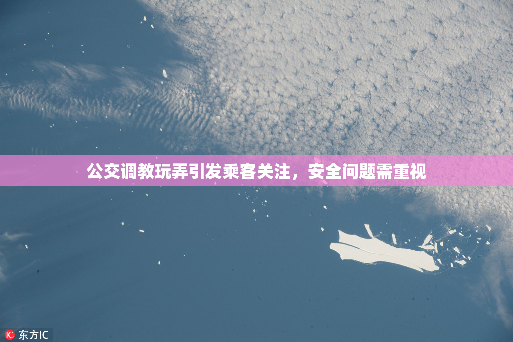 公交调教玩弄引发乘客关注，安全问题需重视