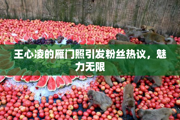 王心凌的雁门照引发粉丝热议，魅力无限