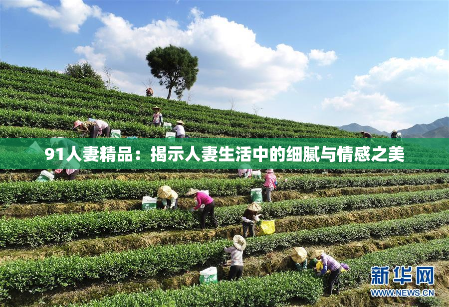 91人妻精品：揭示人妻生活中的细腻与情感之美