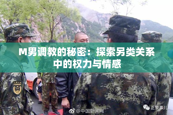 M男调教的秘密：探索另类关系中的权力与情感