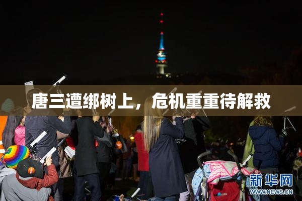 唐三遭绑树上，危机重重待解救