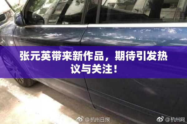 张元英带来新作品，期待引发热议与关注！